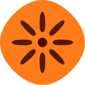 Sunny Days logo